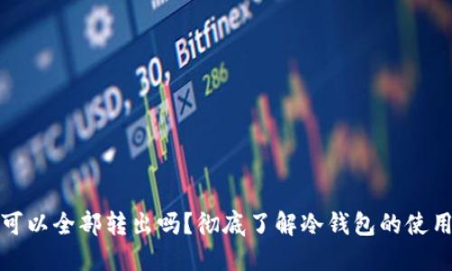 冷钱包里币可以全部转出吗？彻底了解冷钱包的使用与转出限制
