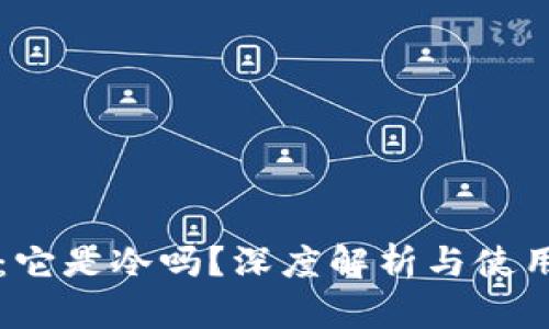 麦子:它是冷吗?深度解析与使用指南