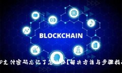 TP支付密码忘记了怎么办？解决方法与步骤指南