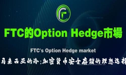 马来西亚的冷：加密货币安全存储的理想选择